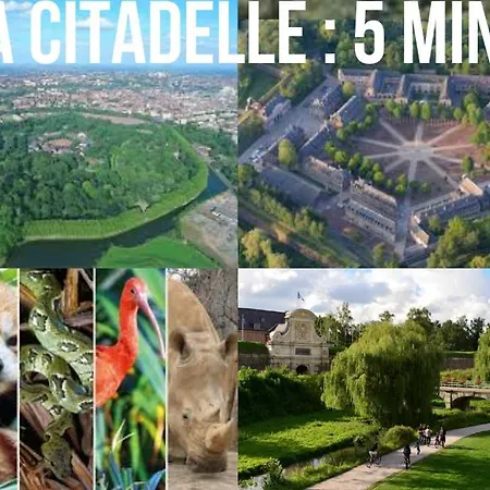 Sparadise Appartement